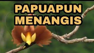 Another Project - Papua Pun Menangis
