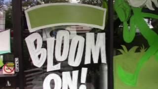 WINDOW PAINTING TUTORIAL #102 Walking Flower