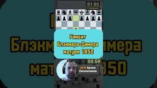Гамбит Блэкмара-Димера #chess #дебют #шахматы #гамбит #шахматыобучение #chesscom #lichess #rawersson