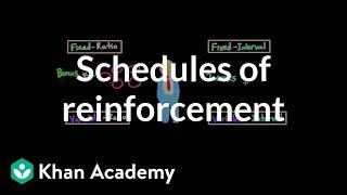 Operant conditioning: Schedules of reinforcement | Behavior | MCAT | Khan Academy