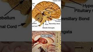 The Esoteric Meaning Behind the Eye of Horus!