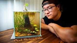 Building a small Low-Tech Shrimp Cube for my Desk