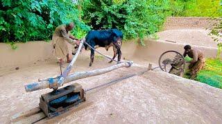 OLD IS GOLD ||Gear system || HIGH SPEED CHAFF CUTTER MACHINE OPERATING WITH MINI BULL|ndia||pakistan