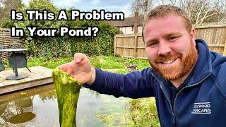 How To Manage BLANKET WEED In Your POND