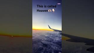 Heaven@KatyPerry#heaven#youtube#ytshorts#viral#indigo#mumbai#jaipur#trending@ElvishYadavVlogs