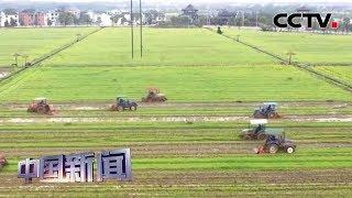 [中国新闻] 商务部：中国粮食库存充裕 储备充足 | CCTV中文国际