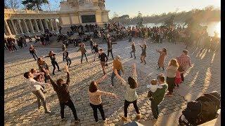 Proposal! Surprise wedding proposal in Retiro Park Madrid! Pedida de mano sorpresa! En Retiro Madrid