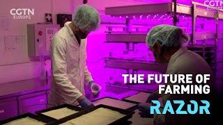 The future of farming - #Razor on TikTok - #Shorts