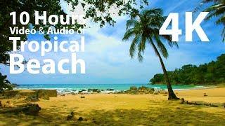 4K UHD 10 hours - Beach, Lapping Waves, Birds Singing - mindfulness, relaxing, meditation, nature