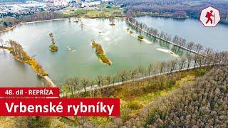 Vrbenské rybníky (České Budějovice) | 48. díl (repríza) – Jihočeské víkendy [4K]