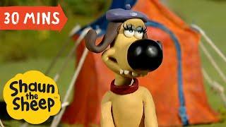 30 MIN Best Of Shaun the Sheep S01 Compilation