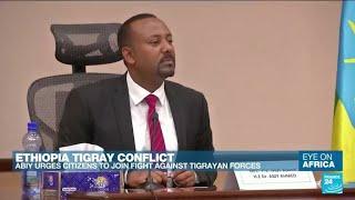 Ethiopia's PM calls on citizens to fight Tigray rebels - Eye on Africa • FRANCE 24 English