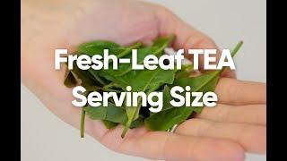 Millennia Fresh-Leaf TEA Serving Size