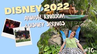 The Lion King | Walt Disney World 2022 | Random With Rachel