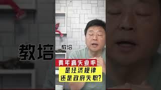 #喜剧向 为何青年失业率高企？政府在干嘛？习近平中国梦治理之道