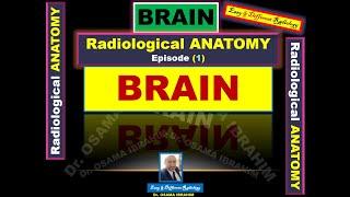 Radiological anatomy; episode (1) BRAIN