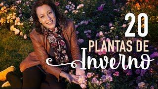 INVERNO: jardim no FRIO + 20 PLANTAS TOP