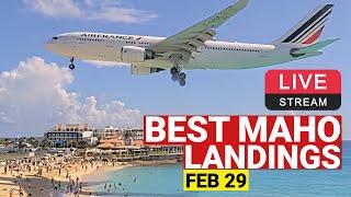 Best Maho ️  landings today Feb 29 2024!