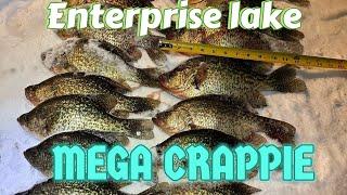 Enterprise lake Wisconsin: Mega Crappie!