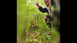 Making a Fairy Home in the Woods