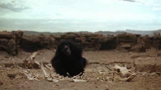 2001: Space Odyssey Best Scenes - The Bone As A Weapon