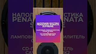 Слушаем акустику Penaudio Sonata Supreme, усилитель Cayin CS-100A и проигрыватель Cayin CDT-15A MK2.