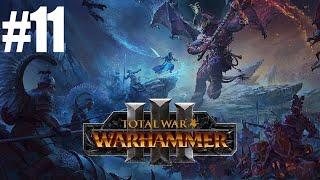 Canavar Adamlar Serisi | Total War Warhammer 3 Türkçe | Bölüm 11