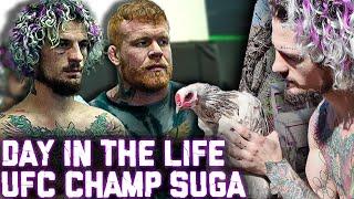 UFC CHAMPS DAY IN THE LIFE Suga Sean's Fight Camp UFC 299 vs Marlon Chito Vera