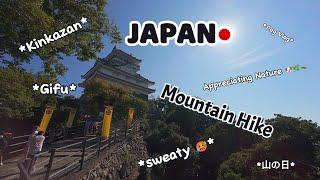  Hiking | Mount Kinka | Beagle Adventure  | Gifu | Japan