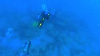 No copyright Deep sea diving Inside deep sea Free stock footage Underwater Ocean video