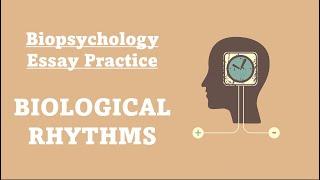 ESSAY PRACTICE: Biological Rhythms