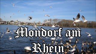 Mondorf am Rhein