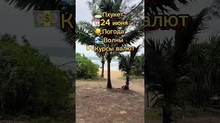 Пхукет Погода Сейчас (24 Июня)