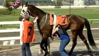 'Horse Racing' - top races featured 2008 'Black Eyes Susan', 2008 Preakness 'Big Brown'