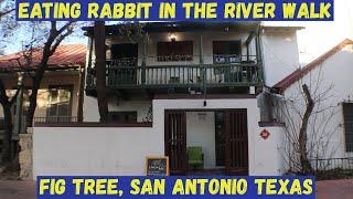 TOP Places to eat in THE RIVER WALK! Fig tree in San Antonio, Texas!