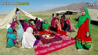 Life of Pashtun nomads | Afghanistan | د کوچیانو ژوند