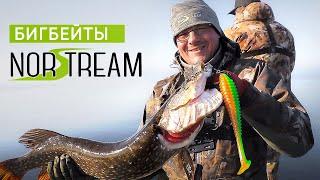 На что ловить КРУПНУЮ щуку? Бигбейты NORSTREAM