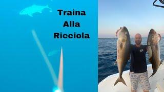 TRAINA ALLA RICCIOLA CON RIPRESE SUBACQUEE E ATTACCHI IN DIRETTA!!!!