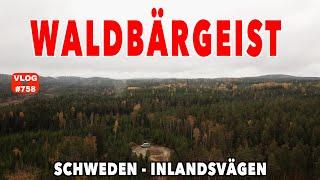 #758 Besteht Schweden nur aus Bäumen? Inlandsvägn E45 | Ich glaub ich hab n Vogel! MegaMobil Lounge