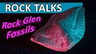 Fossil Hunting and Geologizing at Rock Glen - Rock Talks