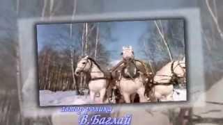 Елена Ваенга Кони show0