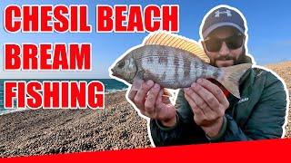Bream Fishing on Chesil Beach - Top Tips For Catching Bream From The Beach