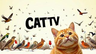 Ultimate Cat TV for Cats to Watch | Best Wildlife Video with Birds & Squirrels Episode 1 ️ 4K HDR