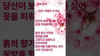  꽃씨 편지 시인:이해인수녀님  #1분명언 #감성문장 #따뜻한문장