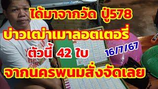 ได้มาจากวัดปู่578 บ่าวเฒ่าเหมาลอตเตอรี่ 42 ใบ จากนครพนมสั่งบ่าวเฒ่าจัดเลย 16/7/67