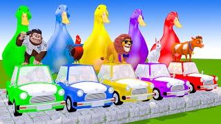 5 Giant Duck Cartoon | Paint & Animals Cow,Lion,Chicken,Monkey,Rabbit Long Slide Game 3d Animals