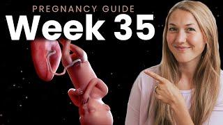 35 Weeks Pregnant | Week By Week Pregnancy