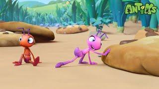 Cookie Rookies  | ANTIKS | Moonbug Kids - Funny Cartoons and Animation