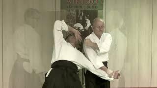 Kotegaeshi - Iwama Ryu Aikido