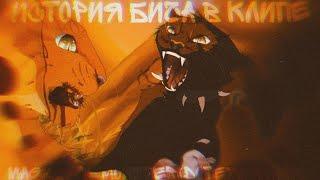 Коты воители - История Бича [В КЛИПЕ] (Mag & Dia - Monster(DotEXE Remix)